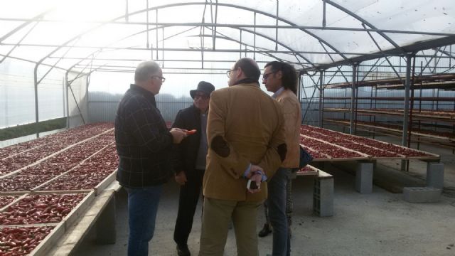 El presidente, secretario y director técnico de la D.O.P. Pimentón de Murcia visitan la D.O.P. Pimentón de Espelette (Francia), Foto 3