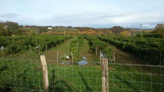 El presidente, secretario y director técnico de la D.O.P. Pimentón de Murcia visitan la D.O.P. Pimentón de Espelette (Francia), Foto 5