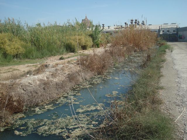 Huerta Viva denuncia la contaminación de la acequia de Benipotrox - 1, Foto 1