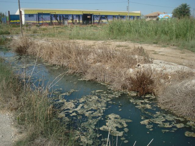 Huerta Viva denuncia la contaminación de la acequia de Benipotrox - 2, Foto 2