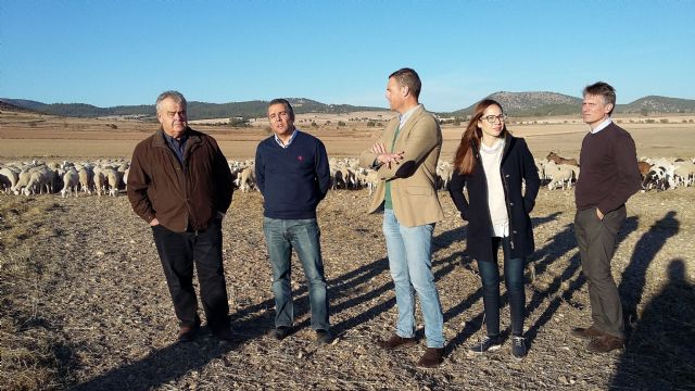 El PP muestra su apoyo al cordero Segureño y reivindica ayudas al sector ganadero para fijar población en el medio rural - 3, Foto 3