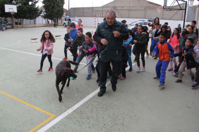 La Guardia Civil organiza una exhibición en el colegio Asunción Jordán de Puerto Lumbreras - 4, Foto 4