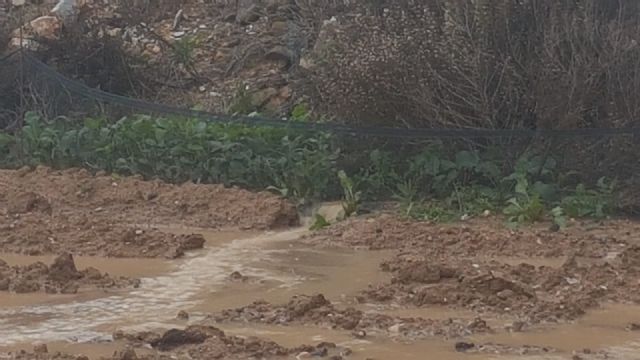 El delegado del Gobierno anuncia obras de emergencia en el canal de drenaje D7 en Los Alcázares en su conexión con la rambla del Albujón - 3, Foto 3