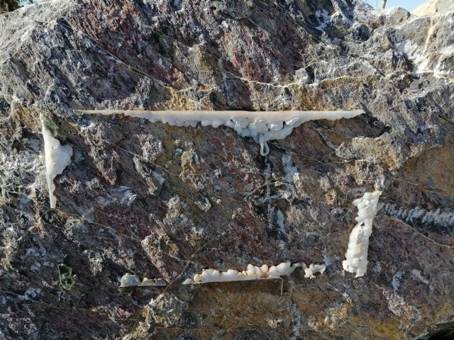 Acto vandálico contra el monolito que recuerda a los nueve aguileños deportados a campos de concentración nazis - 2, Foto 2