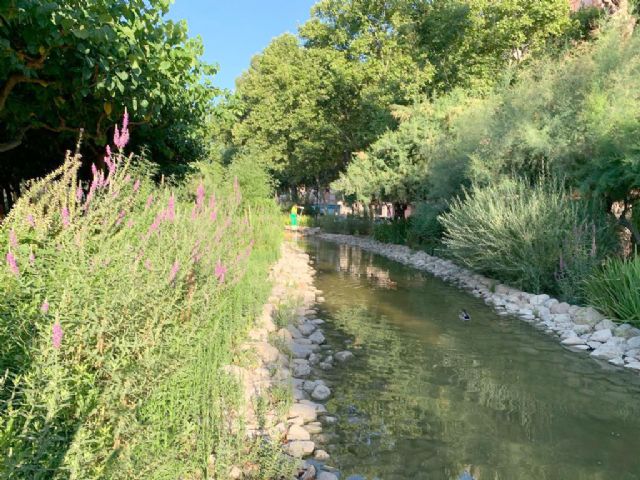 El Ayuntamiento trabaja en el mantenimiento de los más de 3.000 metros cuadrados del lago de la Seda - 2, Foto 2