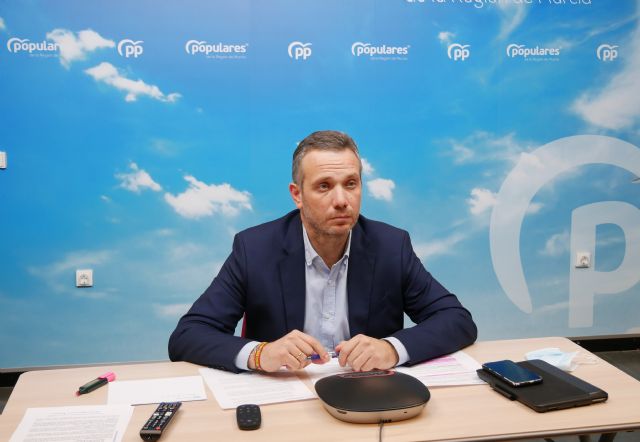 El PP apoyará el domingo en Cartagena la manifestación de Mas Plurales contra la Ley educativa - 1, Foto 1