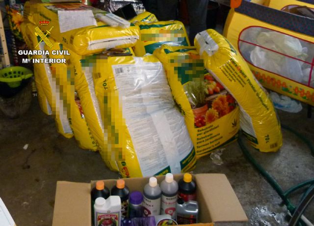 La Guardia Civil desmantela un activo punto de producción y venta de marihuana - 2, Foto 2
