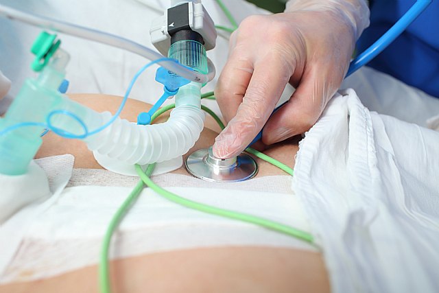 Foto: <a href=https://sp.depositphotos.com/ rel=nofollow target=_blank>Depositphotos</a>, Foto 1