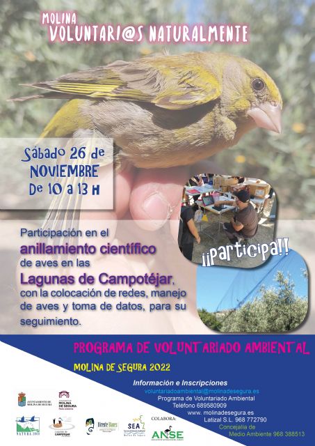 El Programa de Voluntariado Ambiental ¡Molina, Voluntari@s Naturalmente! lleva a cabo una actividad sobre anillamiento científico de aves en Las Lagunas de Campotéjar el sábado 26 de noviembre - 1, Foto 1