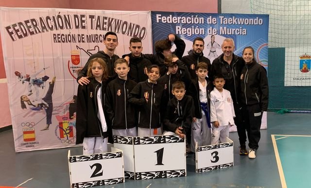 Ligas de combate taekwondo, Foto 1