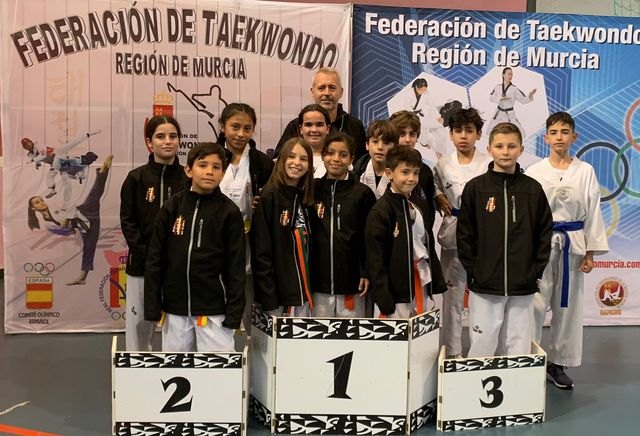Ligas de combate taekwondo, Foto 2