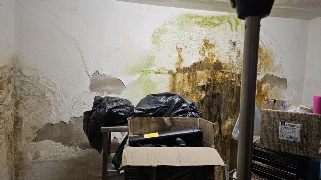 El PSOE exige una intervención urgente en el centro de mayores de El Esparragal, lleno de humedades, moho, aseos deteriorados, accesos inseguros y  espacios cerrados - 3, Foto 3