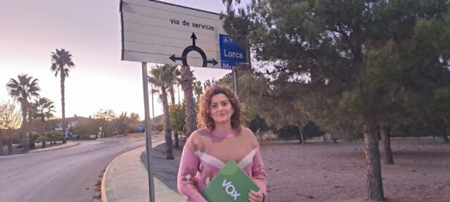 VOX solicitará la adecuación y mantenimiento de las rotondas que dan acceso al polígono industrial el Descanso, en el punto kilométrico de 648 de la autovía A7 - 1, Foto 1