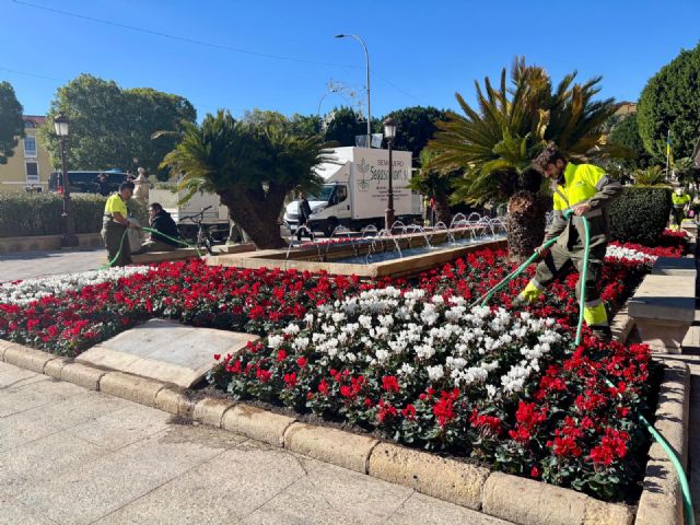 Más de 100.000 flores de temporada embellecen las calles, plazas y jardines de Murcia y sus pedanías esta Navidad - 1, Foto 1