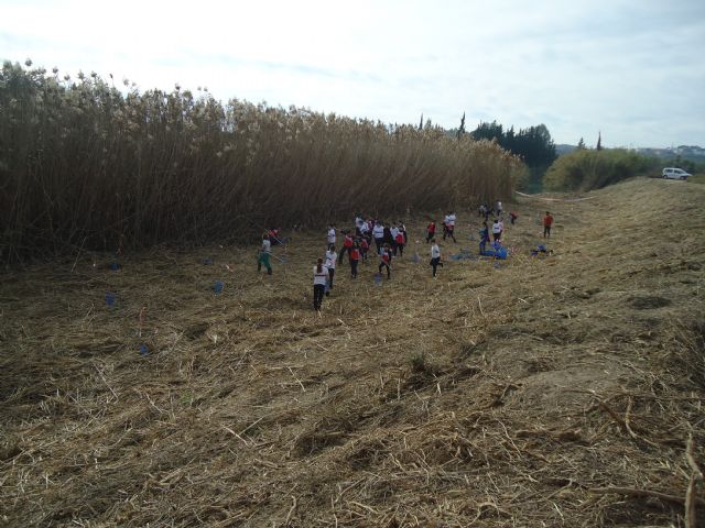 Educación ambiental y recuperación del bosque de ribera en la Contraparada con el Centro Concertado de Enseñanza Samaniego de Alcantarilla - 2, Foto 2