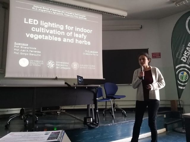 Logran con éxito cultivos verticales de lechuga y albahaca en interior de edificios utilizando lámparas led - 2, Foto 2