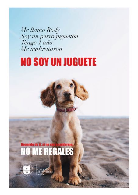 No soy un juguete, la campaña de concienciación del Ayuntamiento de Caravaca para prevenir la compra irresponsable de animales en Navidad - 1, Foto 1