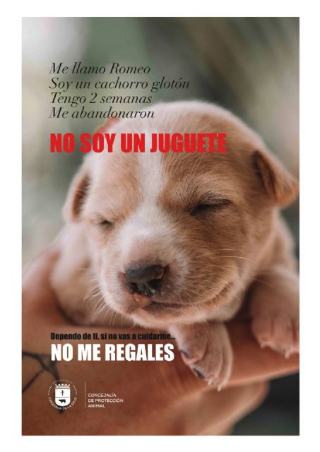 No soy un juguete, la campaña de concienciación del Ayuntamiento de Caravaca para prevenir la compra irresponsable de animales en Navidad - 2, Foto 2