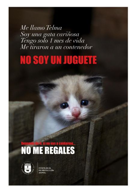 No soy un juguete, la campaña de concienciación del Ayuntamiento de Caravaca para prevenir la compra irresponsable de animales en Navidad - 3, Foto 3