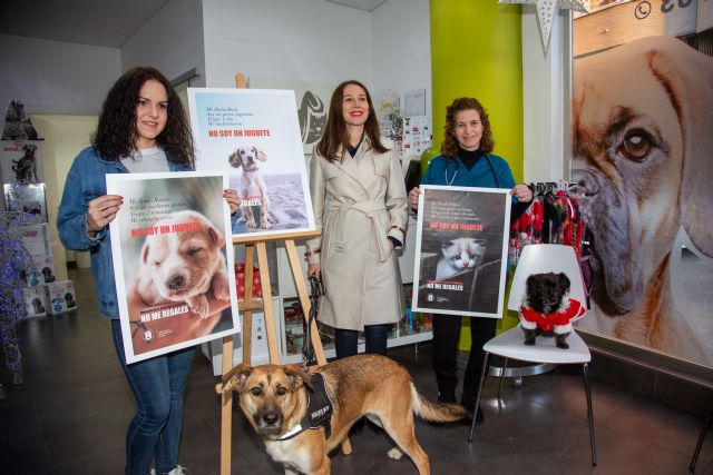 No soy un juguete, la campaña de concienciación del Ayuntamiento de Caravaca para prevenir la compra irresponsable de animales en Navidad - 4, Foto 4