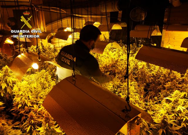 La Guardia Civil desmantela en Murcia un invernadero clandestino de marihuana - 1, Foto 1
