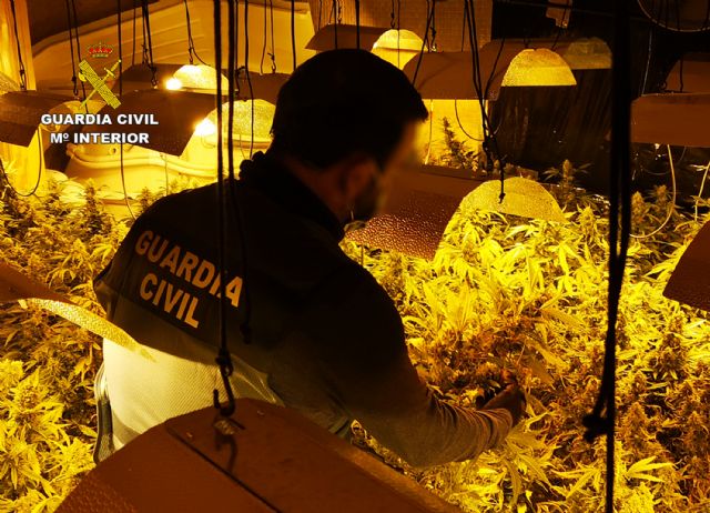 La Guardia Civil desmantela en Murcia un invernadero clandestino de marihuana - 2, Foto 2