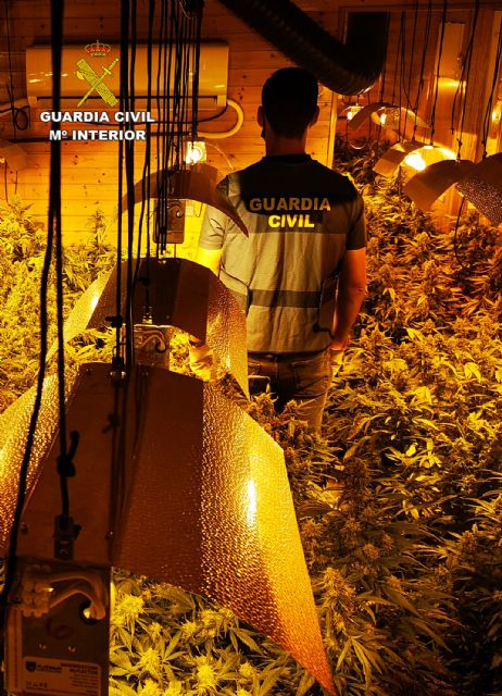 La Guardia Civil desmantela en Murcia un invernadero clandestino de marihuana - 4, Foto 4