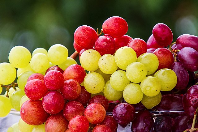 Aumenta un 14% el precio de la uva ante la llegada de las Navidades, según la plataforma ´agritech´ Consentio - 1, Foto 1