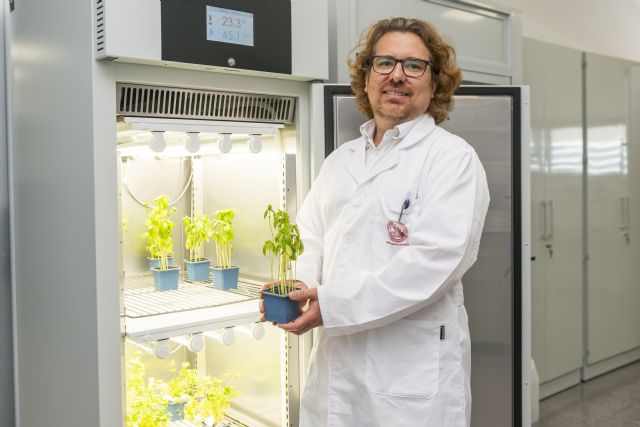 La UMU desarrolla una técnica para la reducción de los nitratos procedentes de la agricultura - 2, Foto 2