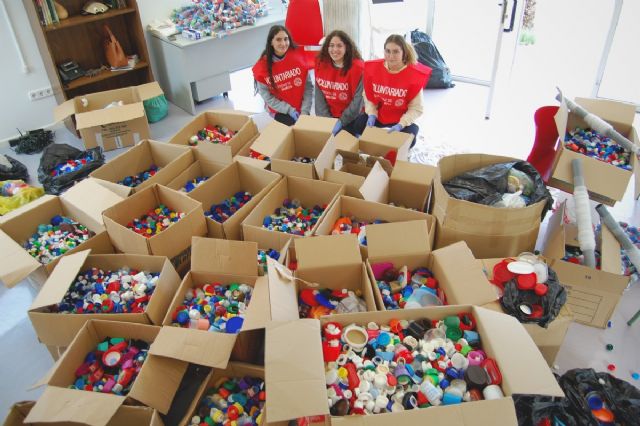 La Universidad de Murcia construye dos árboles de Navidad más de 56.000 tapones de plástico - 2, Foto 2