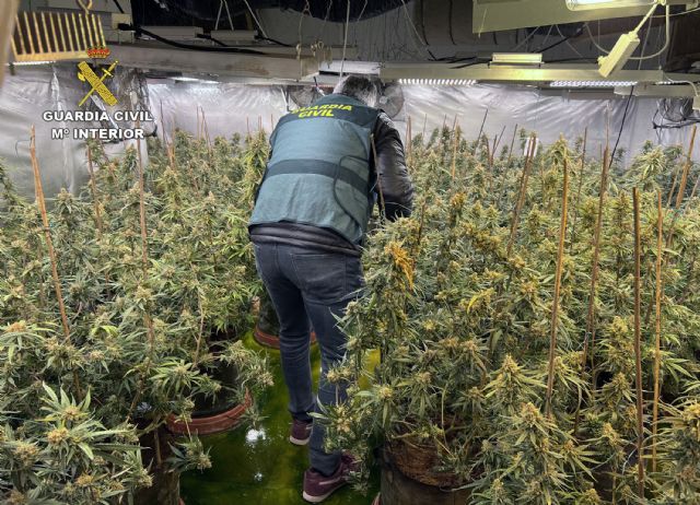 La Guardia Civil desmantela tres invernaderos de marihuana con cerca de 900 plantas en varios chalets de una urbanización - 1, Foto 1