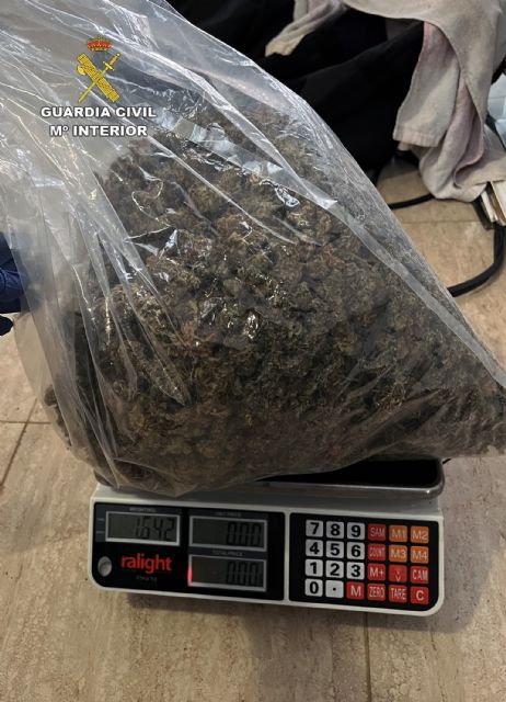 La Guardia Civil desmantela tres invernaderos de marihuana con cerca de 900 plantas en varios chalets de una urbanización - 3, Foto 3