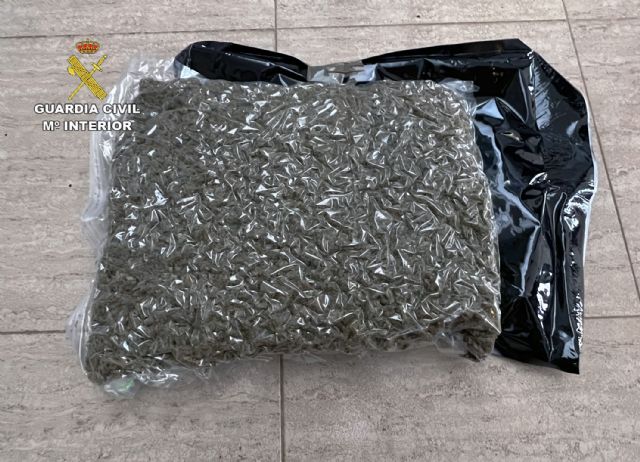 La Guardia Civil desmantela tres invernaderos de marihuana con cerca de 900 plantas en varios chalets de una urbanización - 5, Foto 5