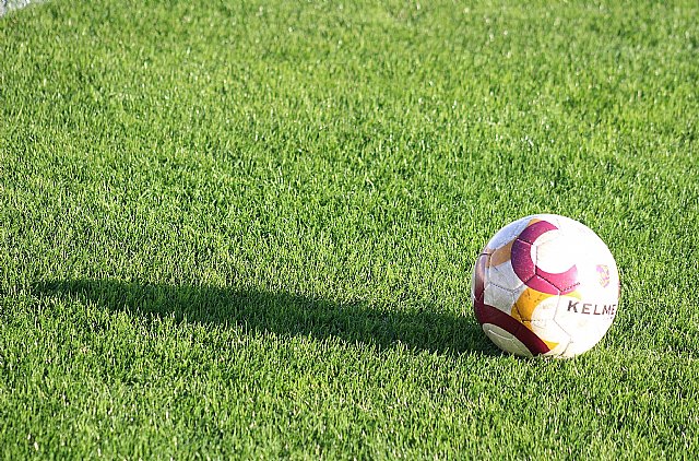 Aprobada la licitación de un nuevo sitio web y app móvil para facilitar la accesibilidad a la información y a las gestiones online del Servicio de Deportes - 1, Foto 1