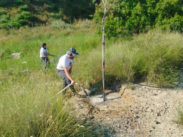 Los trabajos de plantación de especies autóctonas del proyecto Anillo Verde llegan a su fase final, contribuyendo a la renaturalización de la ciudad de Molina de Segura - 2, Foto 2