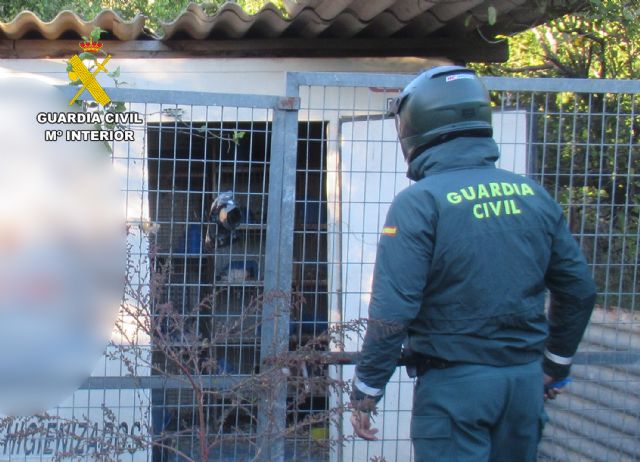 La Guardia Civil investiga en Murcia a un colombicultor por abandono animal - 4, Foto 4