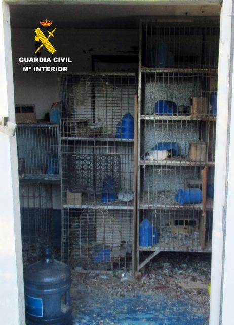 La Guardia Civil investiga en Murcia a un colombicultor por abandono animal - 5, Foto 5