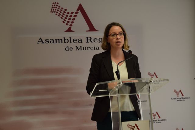 El PP solicita una comisión interministerial para regular la profesión de sicólogo de emergencias - 1, Foto 1