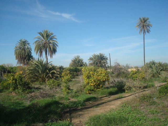 Cambiemos denuncia el deterioro paisajístico de la casa de Antonete Gálvez por la construcción en su entorno de un gran supermercado - 1, Foto 1