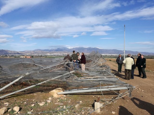 El presidente regional de Coag, Miguel Padilla, visitó ayer parrales e invernaderos afectados por la nevada caída en los últimos días en Totana, Foto 1