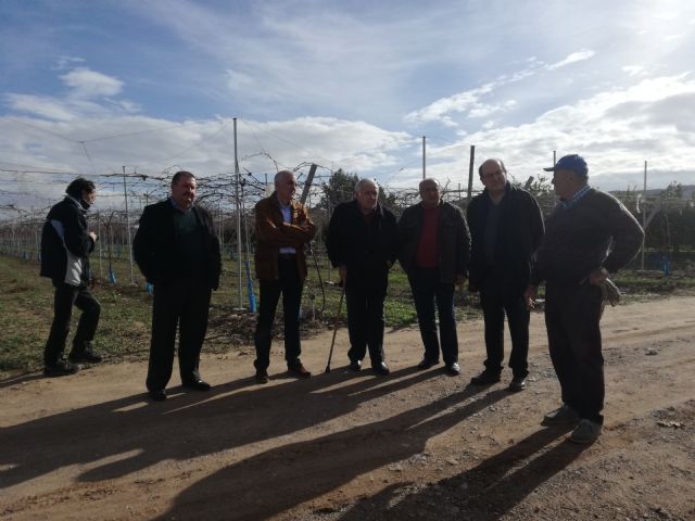 El presidente regional de Coag, Miguel Padilla, visitó ayer parrales e invernaderos afectados por la nevada caída en los últimos días en Totana, Foto 2