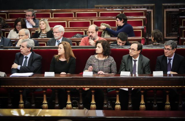 La consejera de Presidencia acude a la sesión de la Comisión General de las Comunidades Autónomas en el Senado - 2, Foto 2