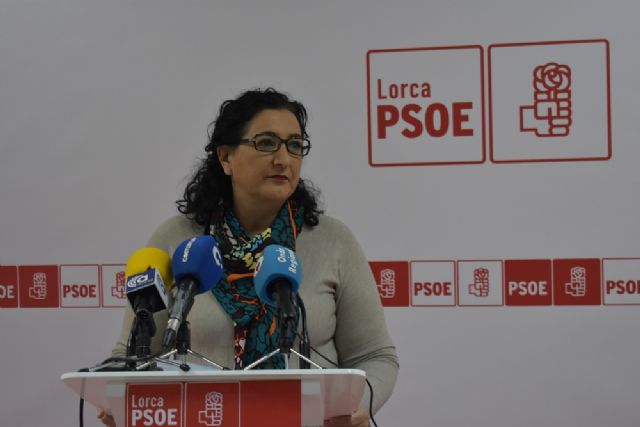 El PSOE presenta una moción para garantizar el sistema público de pensiones y para que los usuarios de las residencias recuperen la paga extra - 1, Foto 1