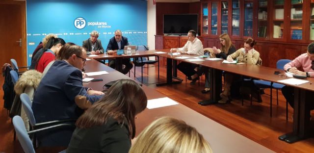 El Partido Popular impulsa iniciativas de apoyo al pequeño y mediano comercio en los municipios - 1, Foto 1