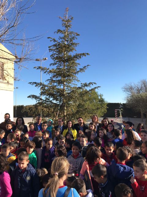 El colegio Entretierras de Torre Pacheco recibe el árbol de Navidad de la Consejería de Educación tras ganar el concurso de adornos - 1, Foto 1