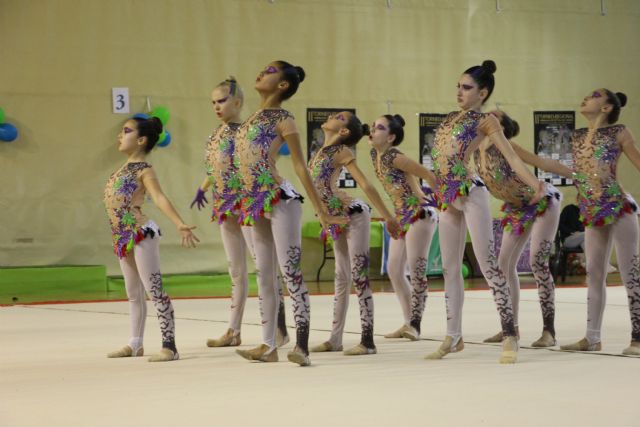 San Pedro del Pinatar acoge el II Torneo Regional de Gimnasia Estética y de Grupo - 2, Foto 2