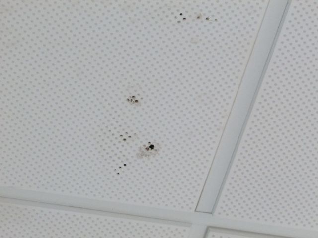 Ahora Murcia preguntará en el pleno por las deficiencias en las instalaciones de derechos sociales de la Fica - 4, Foto 4