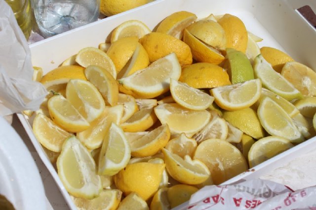 Asaja murcia denuncia que la crisis de los cítricos está asfixiando al campo murciano - 1, Foto 1