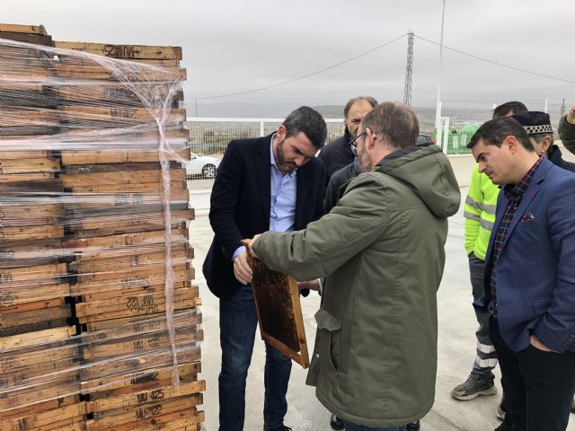 Antonio Luengo visita la empresa ApiZafra y pone en valor el sector de la apicultura en Región de Murcia - 1, Foto 1