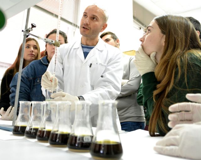 El Consejo Social premia el martes a Marnys, Navantia y al colectivo La Huertecica - 1, Foto 1